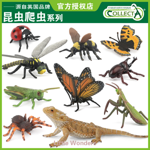 英国CollectA我你他仿真昆虫合集爬虫蝴蝶甲虫模型玩具儿童认知