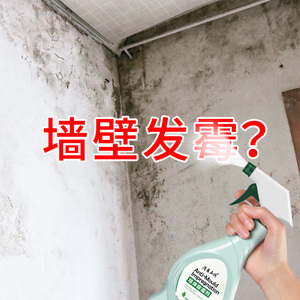 除霉剂墙体墙面去霉斑霉菌清洁剂墙壁防霉喷雾家用发霉处理清除剂