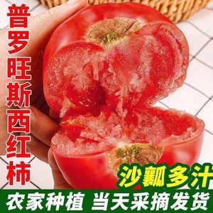 攀枝花自然熟沙瓤番茄生吃水果蔬菜普罗旺斯西红柿新鲜5斤装包邮