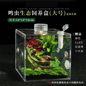 跳蛛蛐蛐鸣虫饲养盒蝈蝈笼子昆虫生态盒角蛙树蛙盒子螳螂造景盒