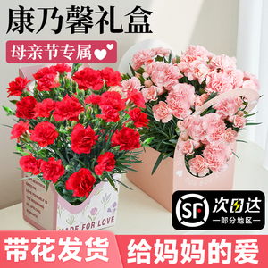 玫瑰康乃馨鲜花盆栽带花苞母亲节礼物花篮送女友老婆妈妈520花束