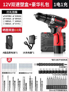 官方旗舰店正品德力西锂电充电式家用多功能手电钻转冲击手枪钻砖