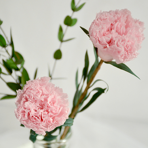 干花花束小束摆设高端真花装饰客厅插花混搭康乃馨玫瑰送妈妈生日