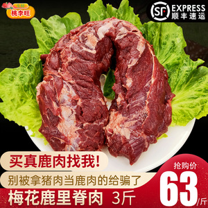 【3斤】梅花鹿里脊肉 新鲜现杀 鹿肉 冷冻成年鲜鹿肉生鲜肉食散养
