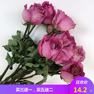 天然玫瑰干花花束蔷薇真花干花顶部装饰民宿风滴胶耳环素材