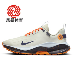 Nike耐克男鞋INFINITY 4 GTX缓震轻便运动休闲跑步鞋FB2204-002