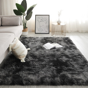 地毯卧室客厅黑色2024新款床边毯毛绒加厚地垫满铺免洗茶几毯房间