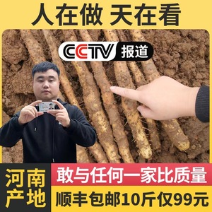 正宗河南省怀山药新鲜垆土地焦作温县铁棍山药旗舰店10斤年后发货