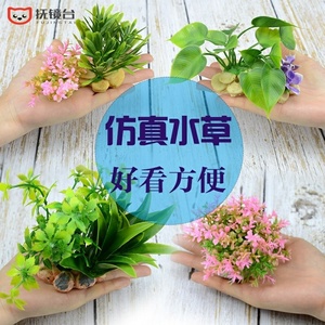 观赏鱼缸假水草 观赏鱼缸假水草品牌 价格 阿里巴巴 观赏鱼缸假水草 观赏鱼缸假水草品牌 价格 阿里巴巴