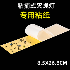 侨尼森灭蝇纸10张装适用于粘捕式灭蝇灯粘虫板强力粘蚊子苍蝇纸板