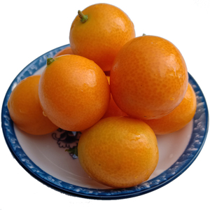 现摘新鲜小金桔5斤橘子黄皮金钱橘子带皮直接吃酸甜可口孕妇水果