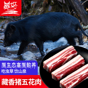 藏香猪肉新鲜五花肉林芝正宗黑毛猪肉冷冻农家散养原生态土猪肉