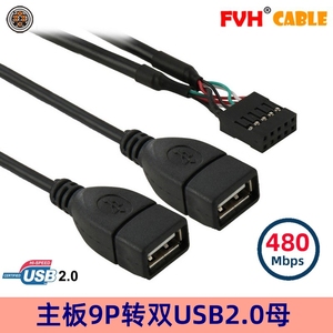 FVH USB2.0母双口面板键鼠延长线 主板9Pin转USB2.0两口扩展线