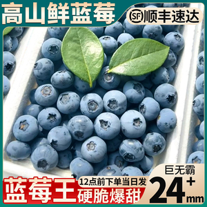 顺丰现货 10盒云南蓝莓鲜果新鲜水果当季高山怡颗现摘孕妇整箱甜9