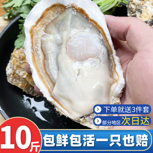 乳山生蚝鲜活10斤带箱海鲜水产海蛎子新鲜特大牡蛎整箱批发商用