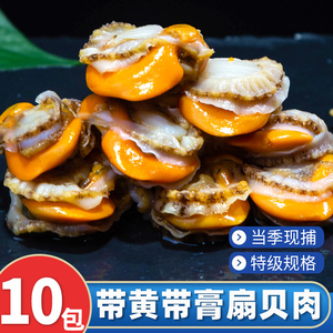 扇贝肉新鲜冷冻10包带黄扇贝鲜活蒜蓉粉丝商用黄蚬子大号海鲜水产
