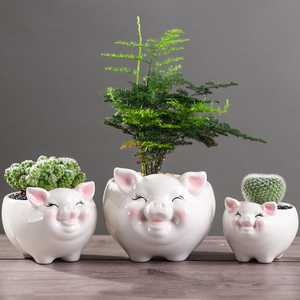 可爱卡通小猪多肉花盆创意个性小号绿植文竹绿萝陶瓷花器动物盆栽