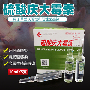 硫酸庆大霉素注射液庆大霉素针剂兽药兽宠物猫狗用呼吸道消炎肠炎