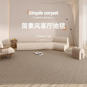 地毯客厅2024新款侘寂风家用卧室纯色款沙发轻奢高级感仿剑麻地垫