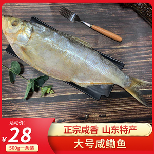 【大号咸鳓鱼1~2斤/条】腌制白磷鱼干香臭勒鱼力鱼咸鱼鲞山东特产