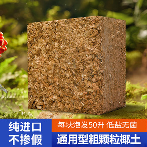 种植土盆栽椰壳砖兰花专用营养土 粗椰块铁皮石斛植料椰砖4kg