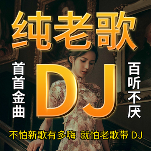 车载u盘歌曲经典老歌dj华语粤语重低音劲爆舞曲无损音乐优盘MP3