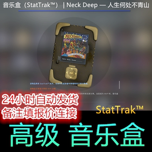 CSGO 音乐盒StatTrak | Neck Deep — 人生何处不青山 暗金 计数