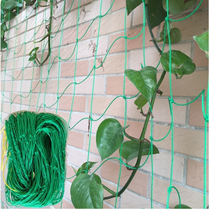 南瓜爬藤网植物架番茄架葡萄瓜棚篱笆墙支撑架丝瓜藤网架搭棚架