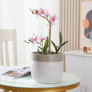 陶瓷花盆室内客厅欧式轻奢创意精致兰花君子兰蝴蝶兰专用种植盆栽