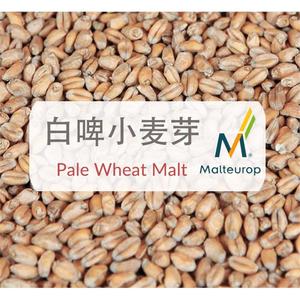 淡色小麦芽 Pale Wheat Malt 白啤专用欧麦Malteurop啤酒麦芽