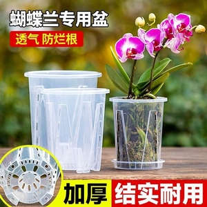 蝴蝶兰花盆专用透明透气塑料加厚耐用树脂青山盆栽控根家用盆景盆
