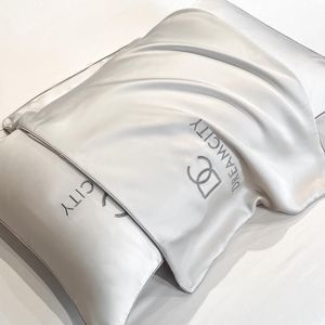 夏季冰丝枕套一对装家用夏天水洗真丝枕头套单个48x74枕芯内胆套