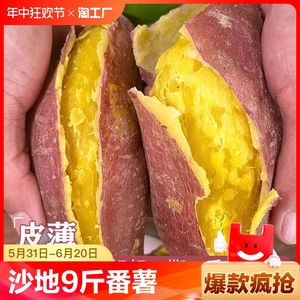 板栗红薯新鲜地瓜番薯蜜薯黄心9斤农家自种沙地栗子软糯红皮半亩