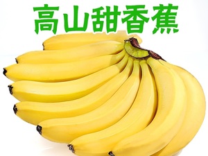 云南高山香甜大香蕉新鲜10斤当季水果香焦自然熟芭蕉粉蕉整箱包邮