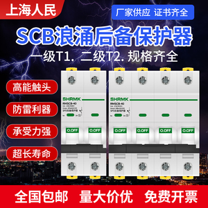 上海人民SCB浪涌后备保护器SPD一级T1电涌前端开关二级T2防雷避雷