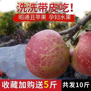 云南昭通冰糖心野生丑苹果脆甜孕妇丽江拉市海新鲜水果10斤绍通