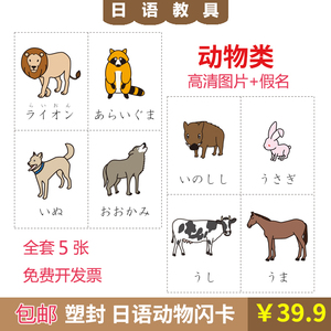 早教启蒙日语动物类假名单词 认知书写类双面彩印词汇塑封A4闪卡