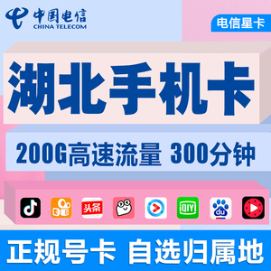 湖北武汉宜昌襄阳荆门电信流量手机卡电话卡无线流量上网卡不限速