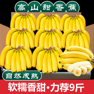 高山甜香蕉新鲜10斤水果当季现摘芭蕉小米蕉大香焦批发整箱自然熟