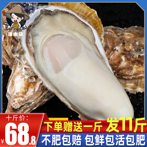 乳山生蚝鲜活特大牡蛎带壳生吃海蛎子新鲜海鲜水产带箱10斤顺丰