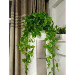 空调上的装饰花吊兰大叶子绿萝绿植客厅大盆垂下来仿真塑料花布置