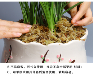 春禄水苔 春禄水苔品牌 价格 阿里巴巴 春禄水苔 春禄水苔品牌 价格 阿里巴巴