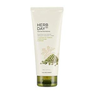 The Face Shop Herb Day 365 Master Blending Cleansing Foam Mu