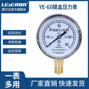 雷尔达仪表 膜盒压力表YE60 微压表千帕表 天然气管道压力表 燃气