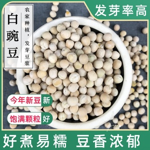 白豌豆500g 农家自种豌豆粒生的豆苗芽菜煮粥豆浆重庆小面配料