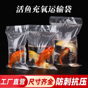 观赏鱼活鱼充氧气打包袋加厚鱼苗运输透明塑料袋防挤压包装袋定制
