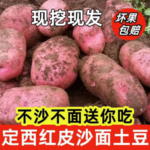 甘肃定西土豆现挖红皮土豆新鲜现挖大芋头农家洋芋番薯蔬菜10斤装
