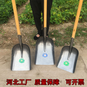 锰钢大号煤锹铁锹加厚平头锹铲土铲垃圾带把锹农用铲子挖土清粪锹