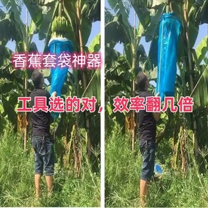 香蕉套袋神器套芭蕉树袋子使用的专用工具不锈钢3.9米伸缩杆1.8米