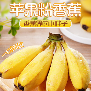 福建正宗苹果蕉香蕉新鲜自然熟当季整箱水果蕉非小米蕉banana包邮